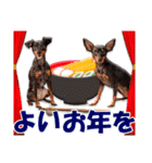 冬を乗り切るミニピンスタンプ2（個別スタンプ：20）