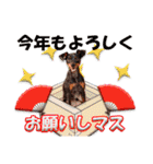 冬を乗り切るミニピンスタンプ2（個別スタンプ：22）
