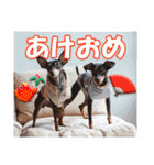 冬を乗り切るミニピンスタンプ2（個別スタンプ：27）