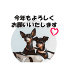 冬を乗り切るミニピンスタンプ2（個別スタンプ：28）