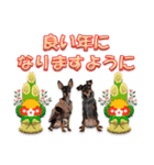 冬を乗り切るミニピンスタンプ2（個別スタンプ：29）