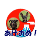 冬を乗り切るミニピンスタンプ2（個別スタンプ：31）