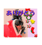 冬を乗り切るミニピンスタンプ2（個別スタンプ：35）