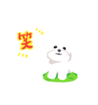 ビションフリーゼほいっぷ（個別スタンプ：2）