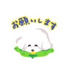 ビションフリーゼほいっぷ（個別スタンプ：5）