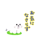 ビションフリーゼほいっぷ（個別スタンプ：6）
