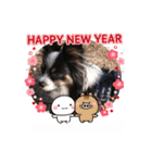 クリスマスお正月ワンこの挨拶（個別スタンプ：5）