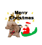 クリスマスお正月ワンこの挨拶（個別スタンプ：18）
