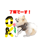 クリスマスお正月ワンこの挨拶（個別スタンプ：35）