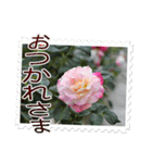 薔薇の切手風スタンプ（個別スタンプ：2）