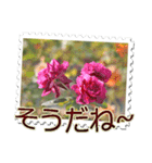 薔薇の切手風スタンプ（個別スタンプ：6）