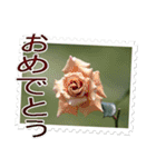薔薇の切手風スタンプ（個別スタンプ：7）