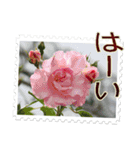 薔薇の切手風スタンプ（個別スタンプ：9）