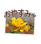 薔薇の切手風スタンプ（個別スタンプ：11）