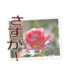 薔薇の切手風スタンプ（個別スタンプ：12）