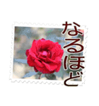 薔薇の切手風スタンプ（個別スタンプ：13）