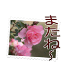 薔薇の切手風スタンプ（個別スタンプ：15）