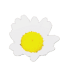 乙女のお花（個別スタンプ：14）