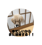 我が家のオカラ（個別スタンプ：2）