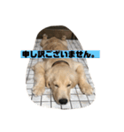 我が家のオカラ（個別スタンプ：6）