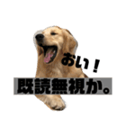 我が家のオカラ（個別スタンプ：15）