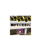 我が家のオカラ（個別スタンプ：17）