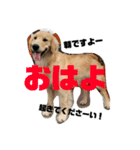 我が家のオカラ（個別スタンプ：18）