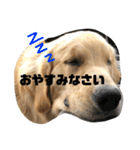 我が家のオカラ（個別スタンプ：20）
