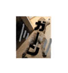 我が家のオカラ（個別スタンプ：26）