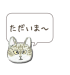 猫が全部言う（個別スタンプ：17）