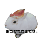 うさぎより！（個別スタンプ：18）