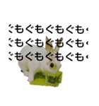 うさぎより！（個別スタンプ：28）