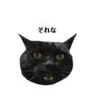 さらっと返すくろねこ（個別スタンプ：4）