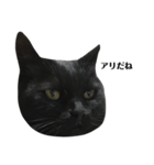 さらっと返すくろねこ（個別スタンプ：8）