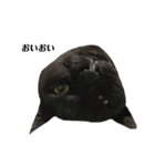 さらっと返すくろねこ（個別スタンプ：14）