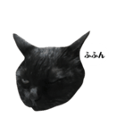 さらっと返すくろねこ（個別スタンプ：16）