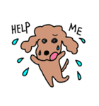 犬ときどきキツネ（個別スタンプ：25）