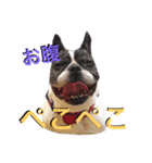 こてつ君の日々（個別スタンプ：7）
