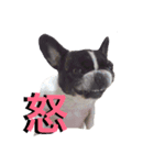 こてつ君の日々（個別スタンプ：8）
