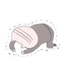 ねこおじ（個別スタンプ：13）