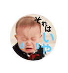 ぴっぴの日常スタンプ（個別スタンプ：2）