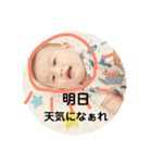ぴっぴの日常スタンプ（個別スタンプ：5）