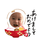 ぴっぴの日常スタンプ（個別スタンプ：11）