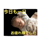 ぴっぴの日常スタンプ（個別スタンプ：14）
