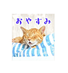 みんなのにゃんこ2（個別スタンプ：3）
