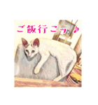 みんなのにゃんこ2（個別スタンプ：7）