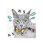 みんなのにゃんこ2（個別スタンプ：17）