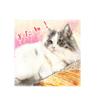 みんなのにゃんこ2（個別スタンプ：23）