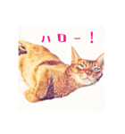 みんなのにゃんこ2（個別スタンプ：28）