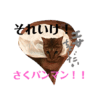 小鉄とトラとさくら（個別スタンプ：2）